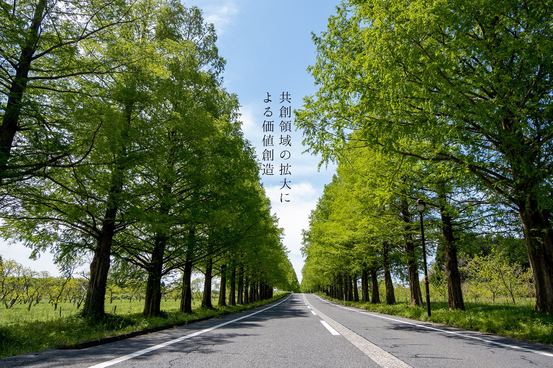 滋賀県 風景画像